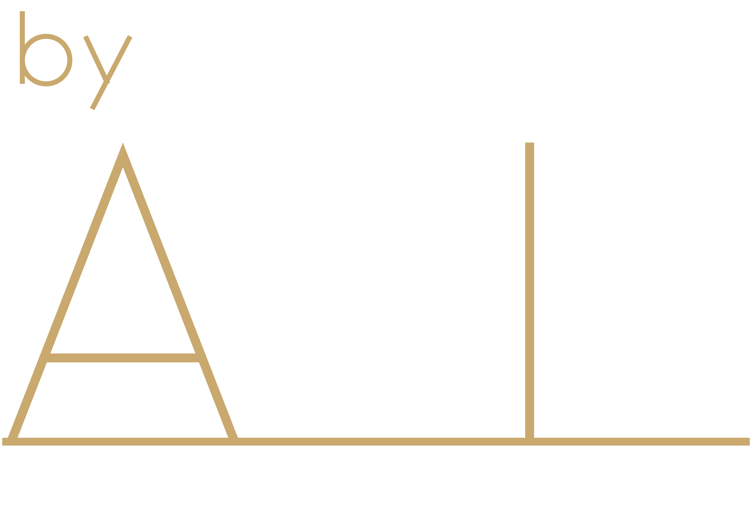 by AMIR — By Amir. By AI.
